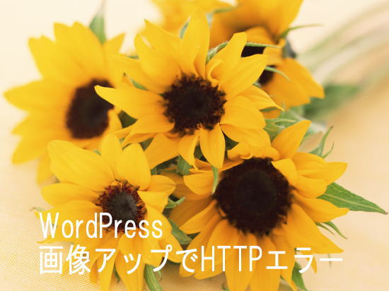 WordPress…画像アップでHTTPエラー