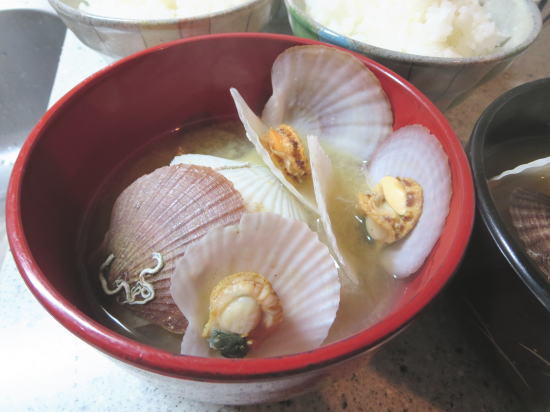 殻付ホタテ貝(稚貝)の味噌汁